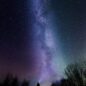 Northern Lights Stars