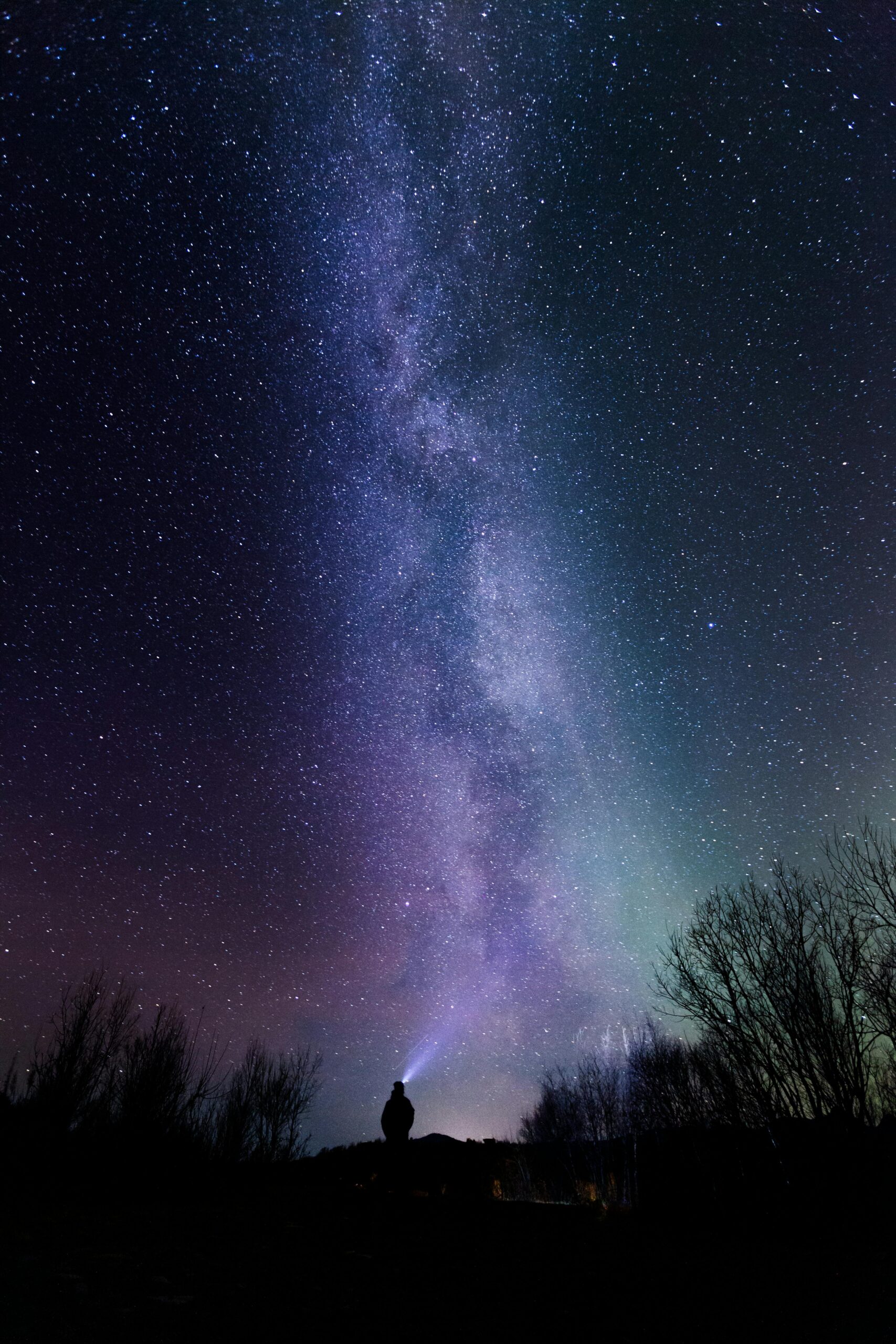 Northern Lights & Stars 10124 (3744×5616) (1) Northern Lights Stars